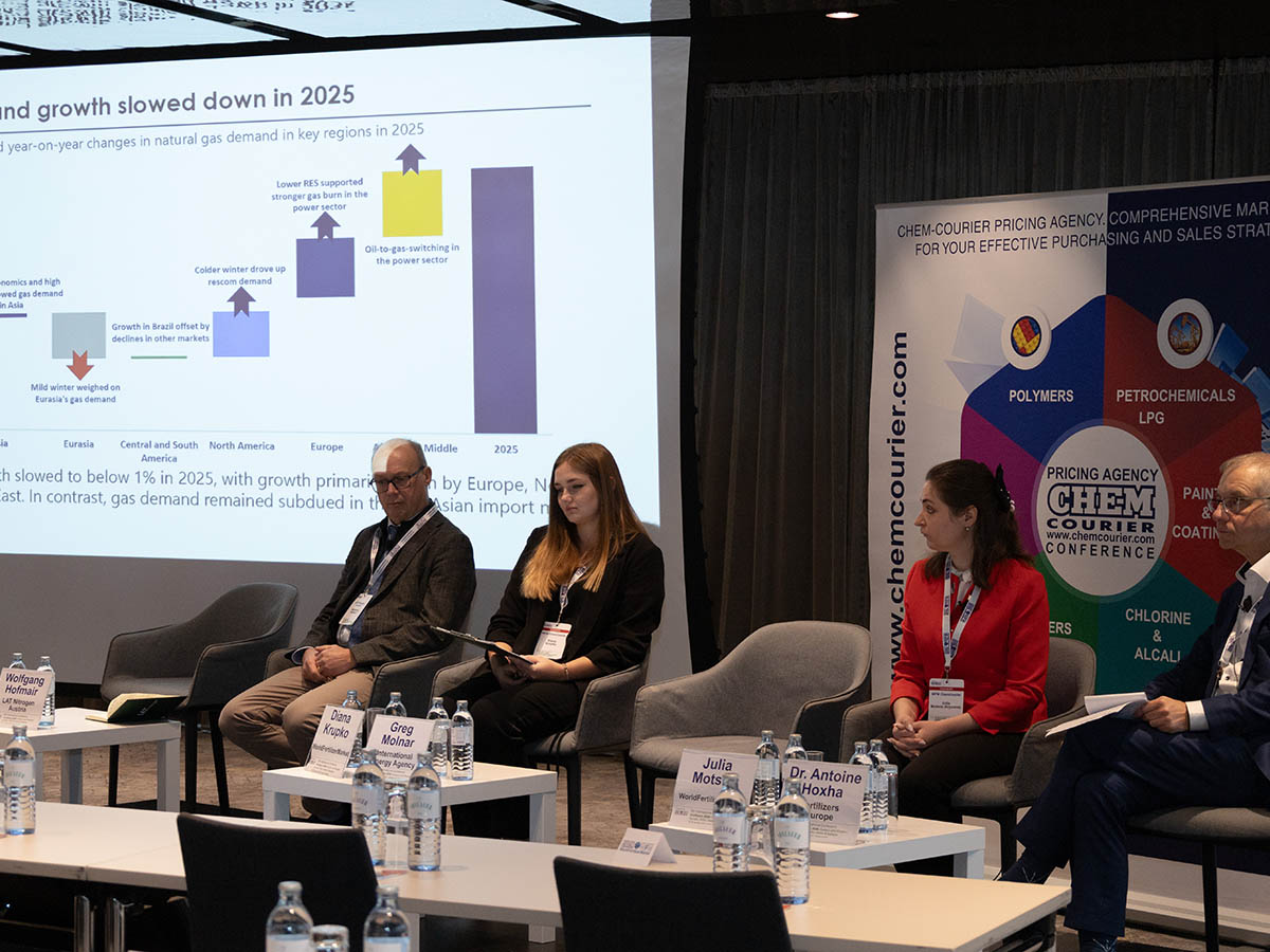 IMG 4353